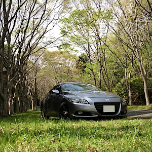 CR-Z