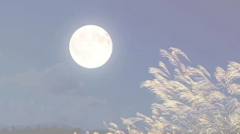 中秋の名月