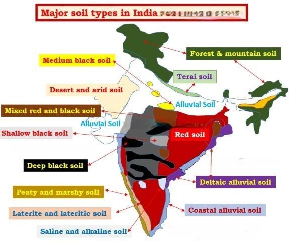 Types of Soil