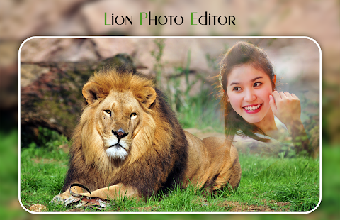 Lion Photo Editor - náhled