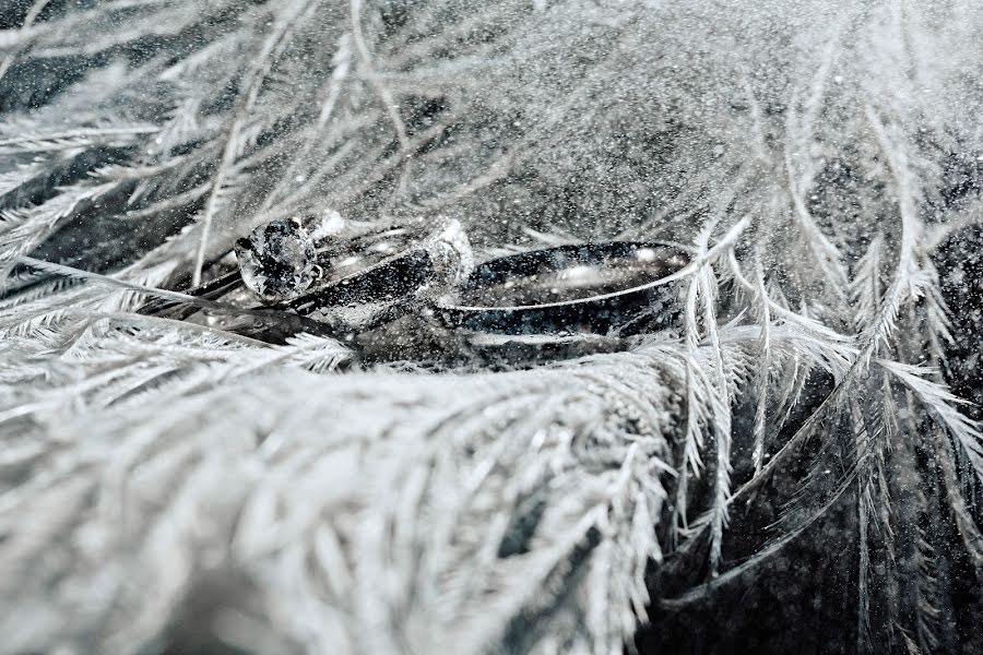 Fotografo di matrimoni Katya Romanova (katiaromanova). Foto del 7 marzo 2019