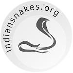 Cover Image of Download Indian Snakes 2.1.67 APK