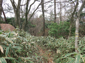 一般登山道に復帰