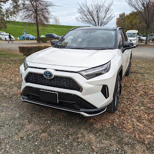 RAV4 AXAP54