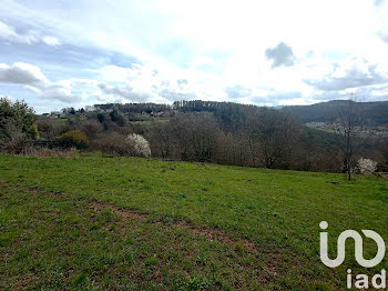 terrain à Haselbourg (57)