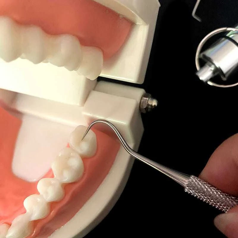 Conjunto de Palitos de Dente de Aço Inoxidável 304 Portátil 7 peças Ferramenta de Limpeza para Casa e Viagem Higiene Bucal