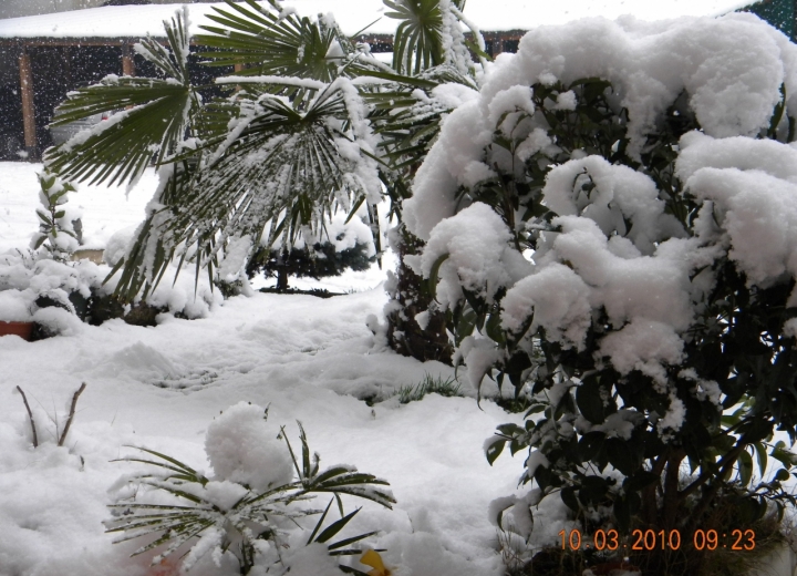 L'ultima neve di primavera di Maryemm