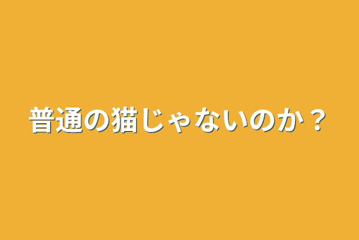 「普通の猫じゃないのか？」のメインビジュアル