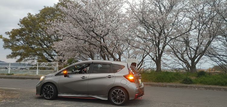 ノートの散りかけの桜🌸とコラボ・ノートニスモsに関するカスタム事例の投稿画像3枚目