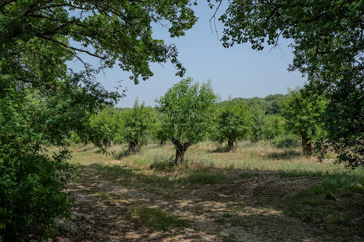 Property with pool and garden 1
