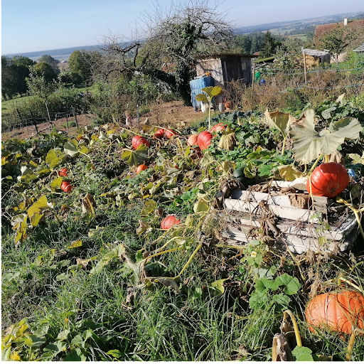 Aux légumes de mon grand père