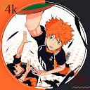 Haikyuu Wallpaper HD Custom New Tab