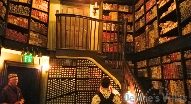 Ollivander’s Wand Experience