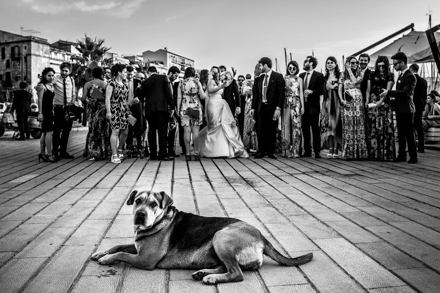 Fotografo di matrimoni Giuseppe Piazza (piazza). Foto del 29 novembre 2016