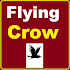 Flying Crow1.1.1.1