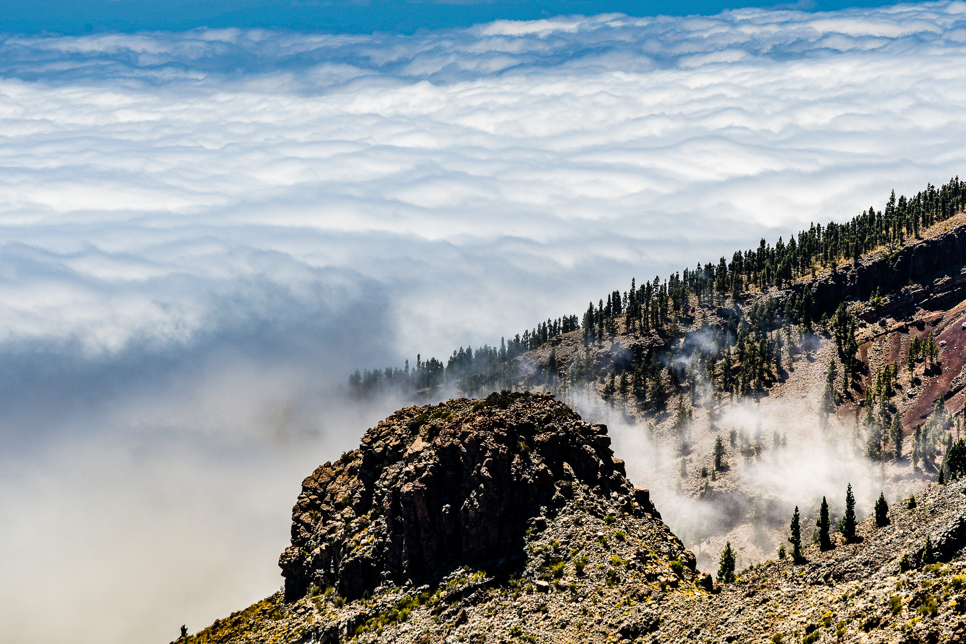 Tappeto di nuvole ai piedi del Teide di jessica_pronesti