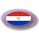 Download Paraguayan apps and tech news For PC Windows and Mac 2.1.5