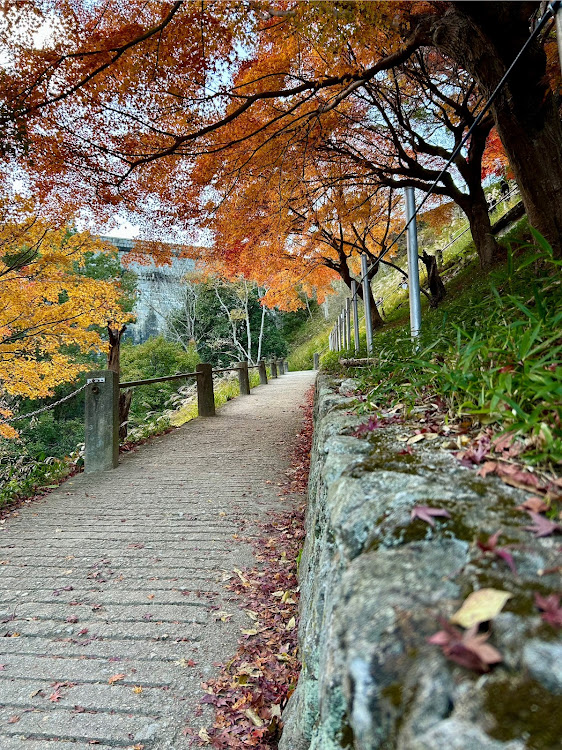 アルトワークスの低登山・布引の滝・神戸港ウィークエンド花火・御堂筋イルミネーション2024・トレッキングに関するカスタム事例の投稿画像2枚目