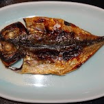 grilled Japanese fish in the $500 Ryokan at Senkei in Yumoto, Hakone in Hakone, Japan 