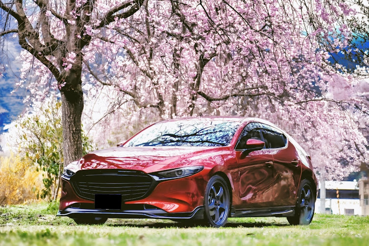 MAZDA3の広島・桜スポット・サクラと愛車・4月もよろしくお願い致します🌸・桜とコラボに関するカスタム事例の投稿画像1枚目