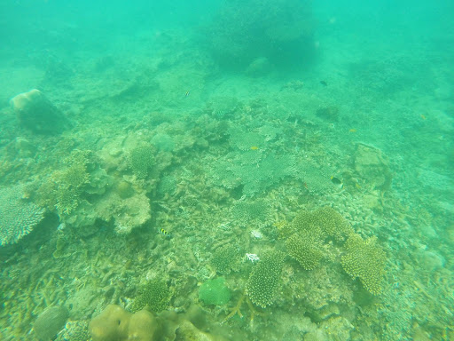 Bintan Underwater Indonesia 2016