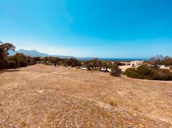 terrain à batir à Lumio (2B)