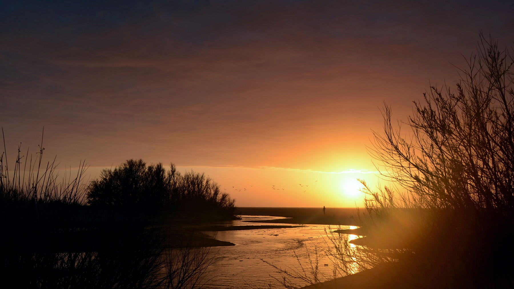 Tramonti a nord-ovest di -Faby-