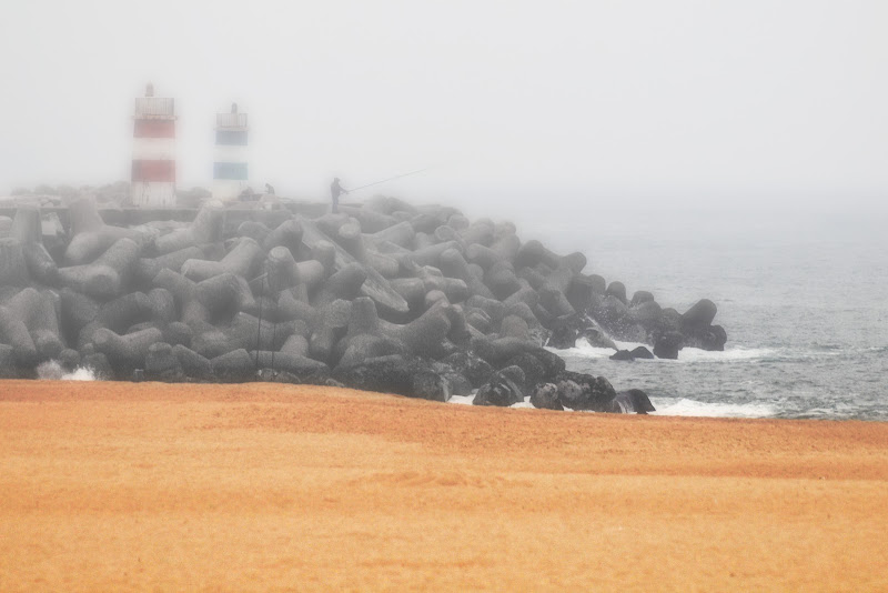 Fari nella nebbia di Patrix