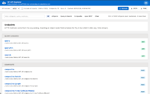 SF API Explorer screenshot 1