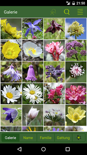 AlpineFlower Finder - Europe