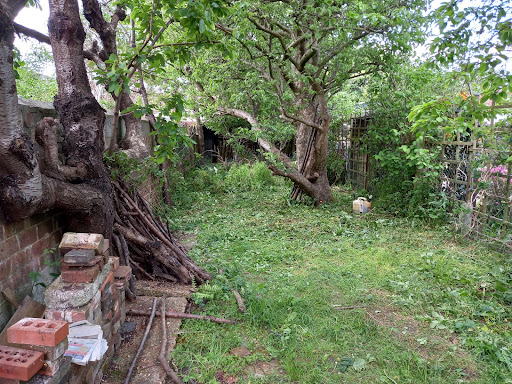 Before garden clearance