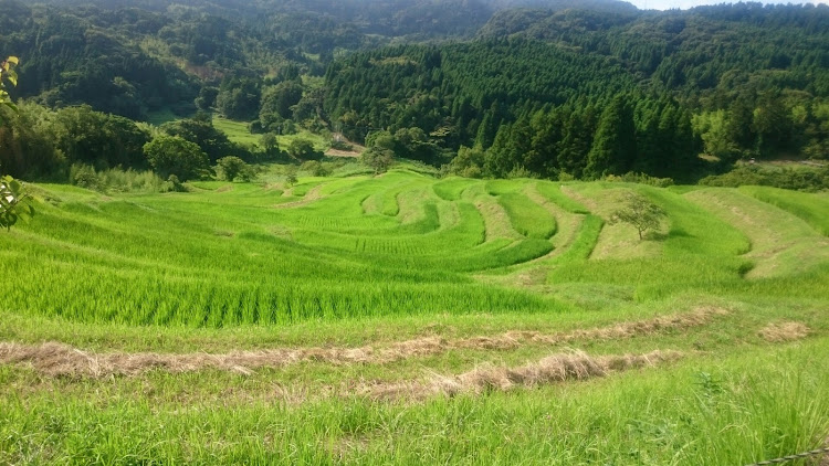 Kiyo.Gさんが投稿したninja1000・ツーリングに関するカスタム事例の投稿画像3枚目