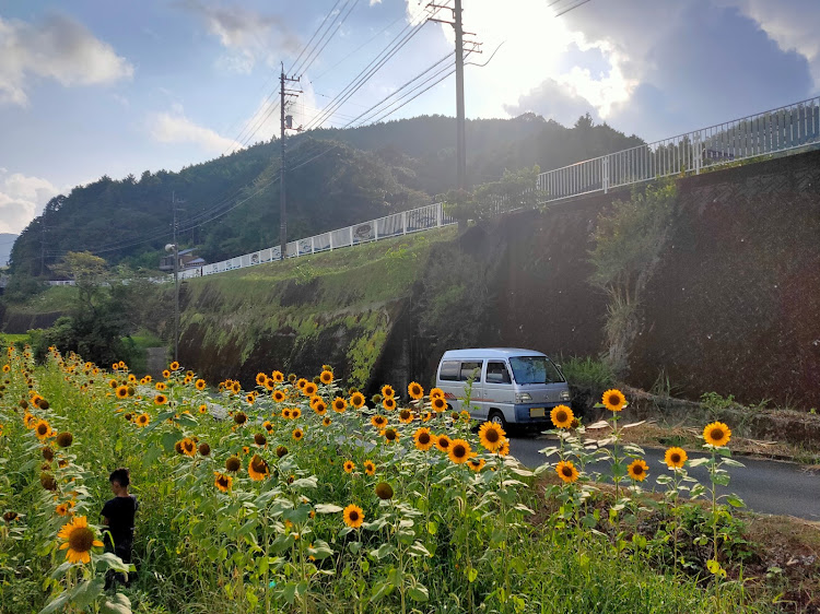 アクティ ストリートの山と愛車・橋と愛車・夏っぽい写真展に関するカスタム事例の投稿画像6枚目