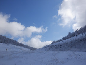 峠を後に下山