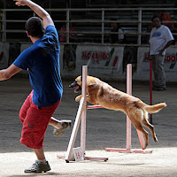 io cado lui salta..no..io salto lui cade di 