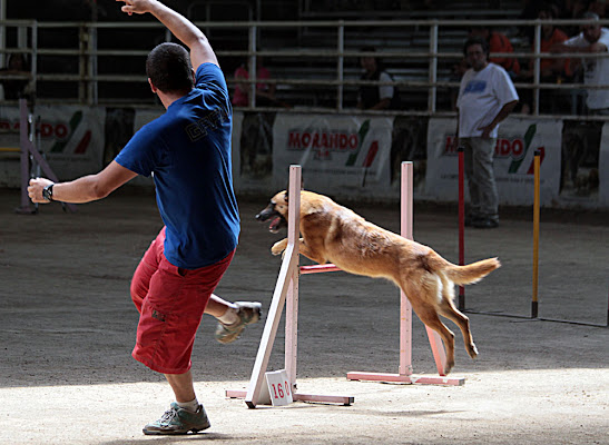 io cado lui salta..no..io salto lui cade di kaira