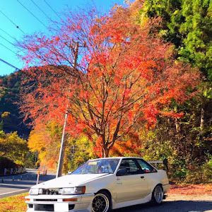 カローラレビン AE86