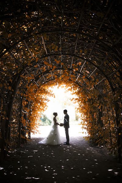 Vestuvių fotografas Christian Lipowski (christianlipows). Nuotrauka 2014 gegužės 29