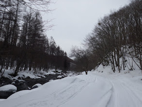 一色川の横を進む