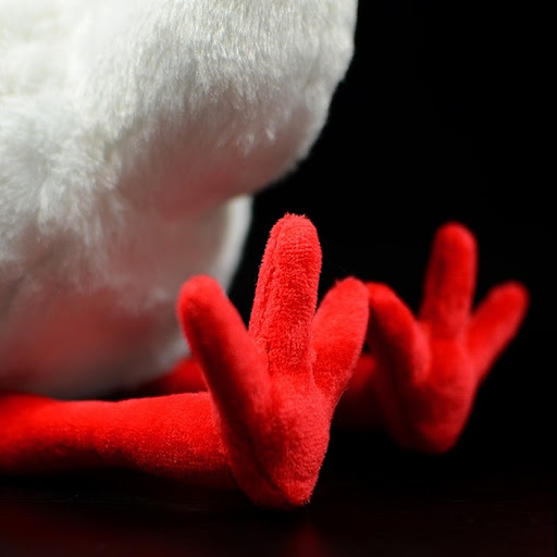 Title 3, Simulation Chinese Crested Ibis Doll Plush Toy ...