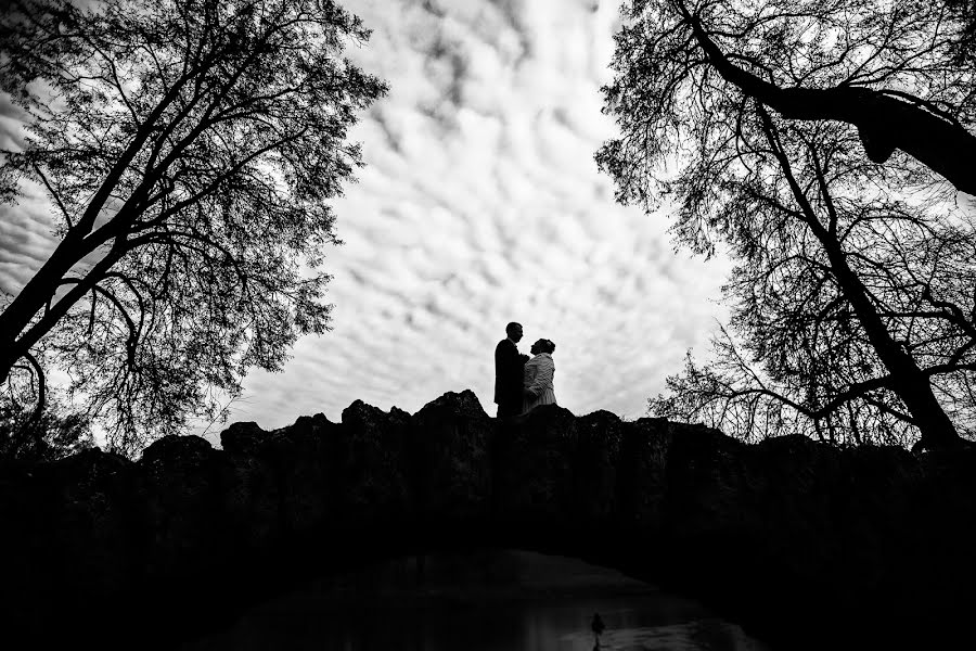 Wedding photographer Anna Repina (pchelka). Photo of 15 November 2016