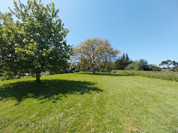 terrain à Pleudihen-sur-Rance (22)