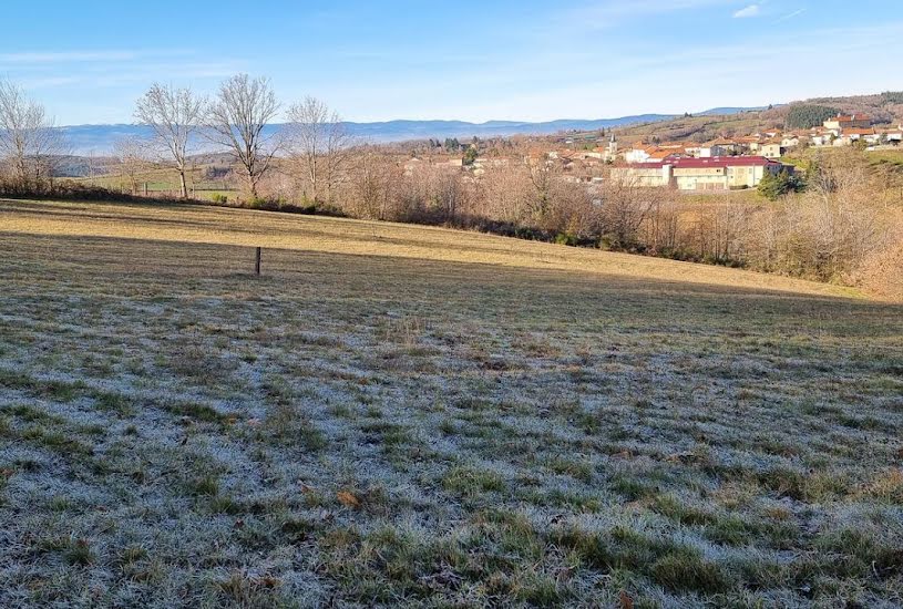  Vente Terrain à bâtir - 1 245m² à Cottance (42360) 