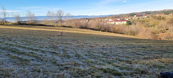 terrain à Montchal (42)