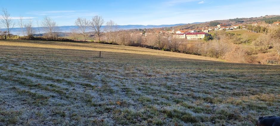 Vente terrain  1245 m² à Montchal (42360), 62 500 €