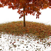 Autumn & Snow di 