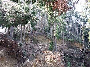 荒れた尾根を左に超える