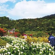 苗榜海芋園