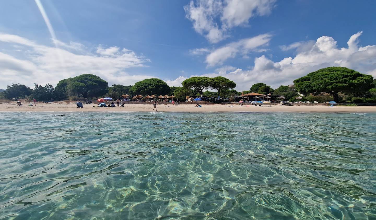 Seaside property with pool Sainte lucie de porto vecchio