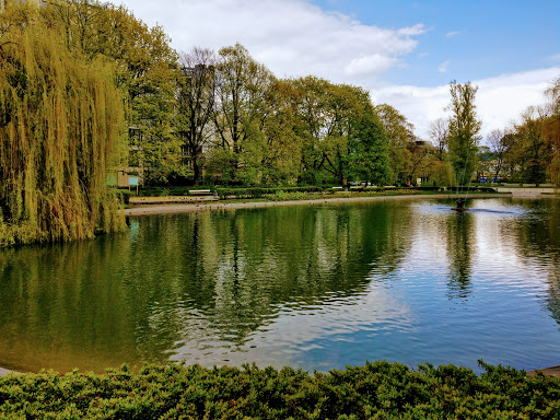 Pond in Saski Garden/ Staw w O